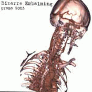 Bizarre Embalming : Promo 2003 Bizarre Embalming : Promo 2003